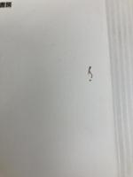 仕事は楽しいかね? きこ書房 デイル ドーテン