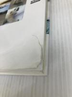 新版　人に育てられたシロクマ・ピース (動物感動ノンフィクション) 学研プラス 高市敦広