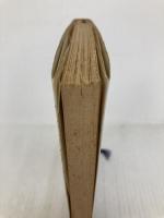 アポリネール傑作短篇集 (福武文庫 あ 201) ベネッセコーポレーション ギヨーム アポリネール