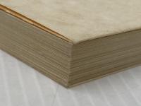 天声人語 8 1973・4~1975・11 (朝日文庫 て 2-8) 朝日新聞出版 深代 惇郎