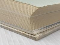 ※カバー無し ※イタミ有 江戸絵画史論 (1983年)