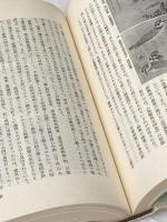 ※カバー無し ※イタミ有 江戸絵画史論 (1983年)