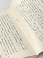 ノーマリゼーションへの道 (1982年)