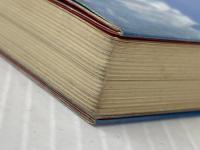 いま、白球は生きる: 実録・イト-ヨ-カド-・バレ-ボ-ル 日本文化出版 小泉 志津男