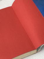 いま、白球は生きる: 実録・イト-ヨ-カド-・バレ-ボ-ル 日本文化出版 小泉 志津男