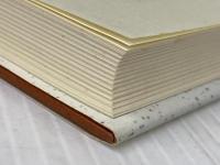 知られざるJT(日本たばこ産業)の底力 実業之日本社 前屋 毅