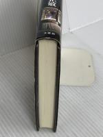 日本のミイラ信仰 法蔵館 内藤 正敏