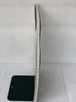 嶋田ちあきエイジレスビューティ: 37歳からの本気化粧 (Miss Books) 世界文化社 嶋田 ちあき