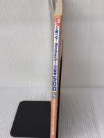 タダで遊べる!Windowsゲーム大集合500 (LOCUS MOOK) ローカス