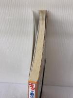 タダで遊べる!Windowsゲーム大集合500 (LOCUS MOOK) ローカス