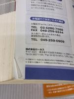 タダで遊べる!Windowsゲーム大集合500 (LOCUS MOOK) ローカス