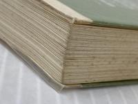 イメージと人間: 精神人類学の視野 (NHKブックス 213) NHK出版 藤岡 喜愛