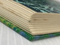 小さい水の精 (昭和41年) (新しい世界の童話シリーズ〈13〉)  オトフリート プロイスラー