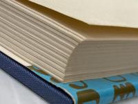 メディア・プログラム―アメリカの学校図書館基準 (1977年) 全国学校図書館協議会 全国学校図書館協議会