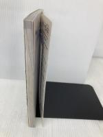 ファイナルファンタジー4マスターズガイド (WONDERSWAN GUIDEBOOK SERIES) デジキューブ