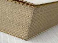 毛沢東の長征: 中華人民共和国の青春 徳間書店 藤子 不二雄A