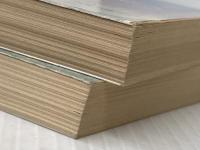 埋み火〈上・下〉 (1979年) (文春文庫) 文藝春秋