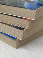 真・デビルマン 文庫 全4巻完結セット (ソノラマ文庫)  永井 泰宇