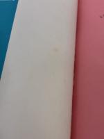 ご近所物語イラスト集 WELCOME TO THE GOKINJO WORLD (集英社ガールズコミックス) 集英社 矢沢 あい