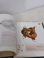 【※カバー無し・書き込み有り】The Universe in a Nutshell Bantam StephenHawking