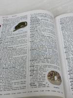 Merriam-Webster's Elementary Dictionary Merriam Webster Merriam-Webster