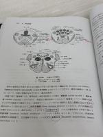 【※書き込み有り】解剖学講義 南山堂 伊藤 隆