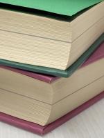 ローザ・ルクセンブルク　全2冊　上下巻揃 河出書房新社 J.P.ネットル