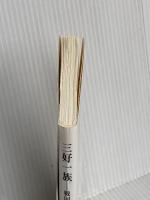 三好一族―戦国最初の「天下人」 (中公新書 2665) 中央公論新社 天野 忠幸