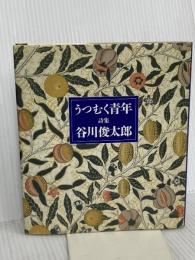 うつむく青年: 詩集 サンリオ 谷川 俊太郎