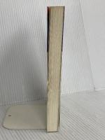 電磁気学 (物理テキストシリーズ 4) 岩波書店 砂川 重信