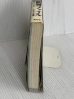 三國志8武将ファイル: パソコン版対応 (キャラクター・ファイル・シリーズ) コーエーテクモゲームス