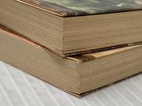 ※イタミ有 こちらニッポン…〈上・下〉 (1980年) (角川文庫)