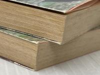 ※イタミ有 戦争の犬たち〈上・下〉 (1981年) (角川文庫)