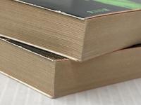 悪魔の選択〈上・下〉 (1982年) (角川文庫)  フレデリック・フォーサイス