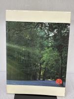 【※イタミ有り】神宮 神宮司庁