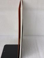 CARACTERS7 BASIC ART OF THE FIVE STAR STORIES DRAGON KLEIN