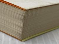 モンテ・クリスト伯 2 (講談社文庫 て 3-2) 講談社 A.デュマ