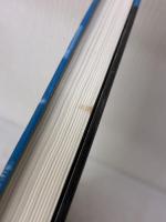 魔術師リンダ・ラリーの短期売買入門―ウィザードが語る必勝テクニック基礎から応用まで  パンローリング ローレンス・A. コナーズ