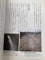 遠の朝廷・大宰府 (シリーズ「遺跡を学ぶ」076) 新泉社 杉原 敏之
