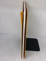 子どもたちの笑顔あふれる 壁面飾り(CDロム付き) (すぐに生かせる実技シリーズ) メイト 大橋 文男