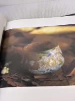 ローマングラス ファラオ企画 松永 伍一