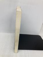 王銘〓これを伝えたい〈1〉ヨセ・絶対計算―あなたは「一目」を理解していますか? (MYCOM囲碁BOOKSシリーズ) (王銘エンこれを伝えたい 1) (株)マイナビ出版 王 銘エン