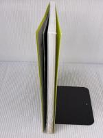 【※イタミ有り】Chloe Sevigny: perfect style of Chloe (MARBLE BOOKS Love Fashionista) マーブルトロン