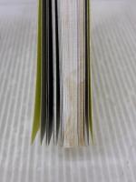 【※イタミ有り】Chloe Sevigny: perfect style of Chloe (MARBLE BOOKS Love Fashionista) マーブルトロン