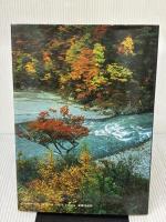 南アルプスの谷 (山と溪谷社MY BOOKS) 山と溪谷社 益田 福三