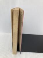 望洋の碑 (徳間文庫 128-19) 徳間書店 陳 舜臣