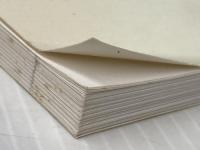 富士山自然の森づくり 理論と実践 日本森林技術協会 渡邊定元