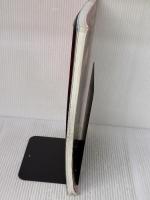 【※イタミ有り】ネイルデザインコレクション SPECIAL EDITION (ブティックムックno.1024) ブティック社