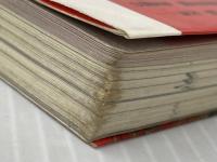 密教の本: 驚くべき秘儀・修法の世界 (NEW SIGHT MOOK Books Esoterica 1) 学研プラス 豊島　泰国