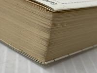 1年遊べるパズルの本 難問・珍問・奇問・苦問・煩問・拷問 550問 (ゴマポケット 14) ごま書房新社 芦ケ原 伸之